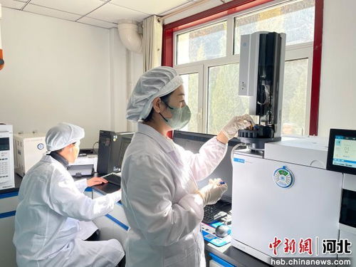 以科技创新为引擎，厚植新质生产力发展根基 河北宽城的技术开发之路