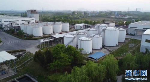 聚焦高质量发展丨湖北 生物制造点燃产业发展“绿色引擎”